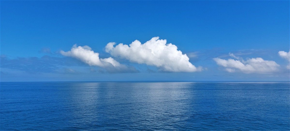 Pour ceux qui sont mal à l’aise avec les thèses nazies, la désinformation et le complotisme de Elon Musk : j’ai des invitations Bluesky pour vous. Pour les autres, ne changez rien et restez ici s’il vous plaît. #merci