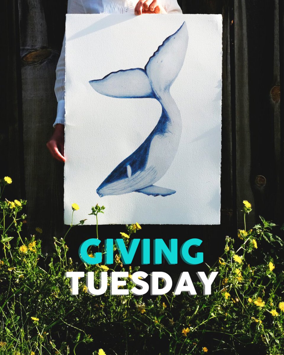🌿 Join us this #GivingTuesday for a festive season of giving! 🎨
Bid on stunning artwork by Beatrice Forshall capturing vanishing species in our online art auction 👉 mtr.cool/tfllseqbae

2️⃣5️⃣% of proceeds support Conservation Collective 🌏

#ArtForConservation #GiveBack