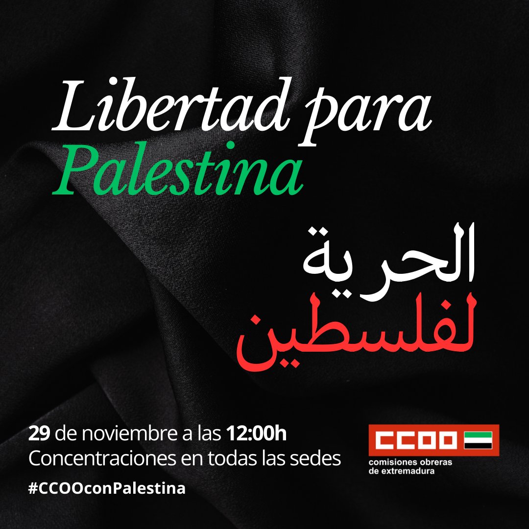 ccoo_ext's tweet photo. 🇵🇸 Hemos convocado concentraciones en nuestras sedes en apoyo del pueblo palestino

"Libertad para Palestina"

📅 Miércoles, 29 de noviembre
🕛 12:00

#CCOOConPalestina https://t.co/wUvj0dzXtG