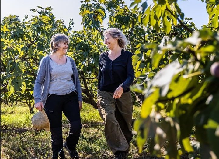 Una mirada de connexió!👀

Com ens explica <a href="/parcagraribaix/">Parc Agrari del Baix Llobregat</a>, l'Imma i la Montse Tugas són germanes i pageses de Sant Climent que tenen camps també a #Viladecans🌄

La seva família es dedica al camp des del 1885 i actualment cultiven i venen fruita i verdura ecològica🥬