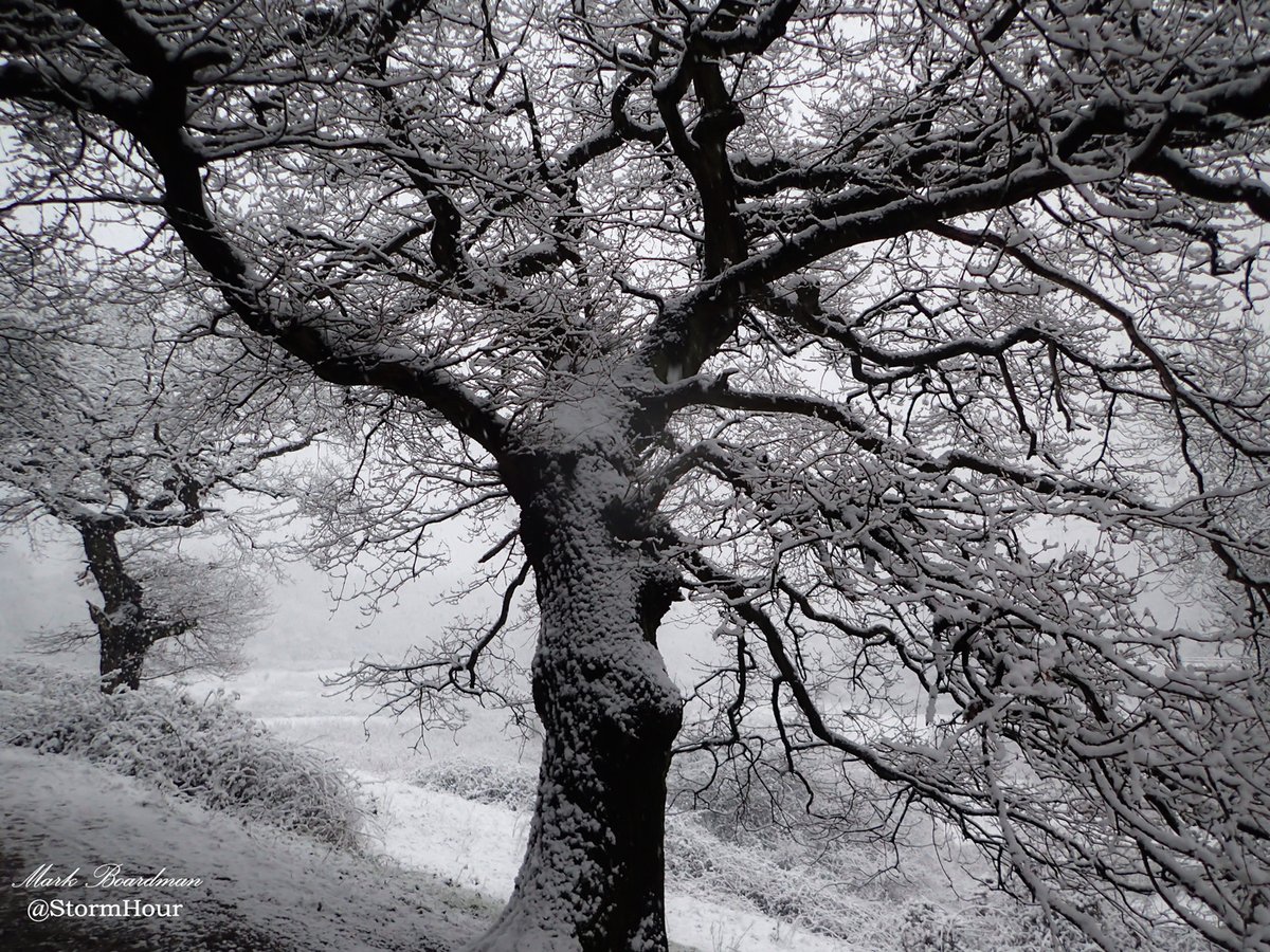 #ThePhotoHour tweet media