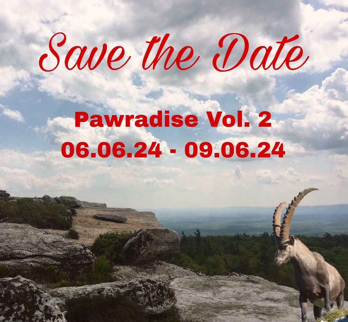 SAVE THE DATE!

Die Pawradise geht in die nächste Runde. Wir freuen uns sehr auf euch! Freut euch auf noch mehr Spass, gemütliche Lagerfeuer Abende und mehr!

*Anmeldung möglich anfangs 2024