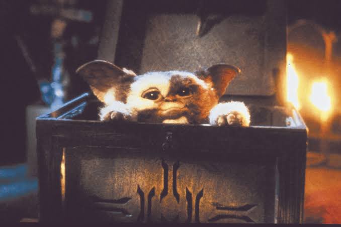Bat_harman's tweet photo. Someone given something special #Day28 #November #Bales2023FilmChallenge
Gremlins (1984) the rules: hates bright light, sunlight will kill it, don’t get it wet & finally, most importantly, don’t feed it after midnight. The gift that keeps giving for Billy #Mogwai #Peltzer https://t.co/4Ca4Qgqkjs