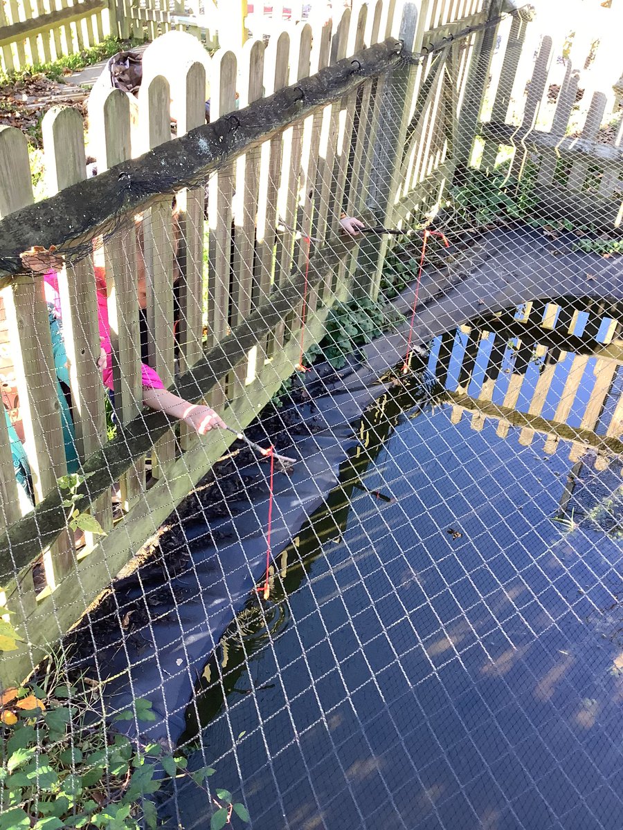 RobsackN's tweet photo. After reading 'Stanley's Stick,' the children were inspired! 🎣 They turned imagination into reality, crafting fishing rods and heading to the pond. 🌿 Unfortunately, the fish weren't fans of bread, so the children are planning to charm them with cheese next time! 🧀 @R_S_Wood https://t.co/70qrgctktZ