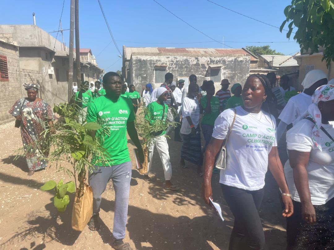 Jve_Senegal's tweet photo. #CampClimatSN2023
Jour 3: Rencontre de plaidoyer avec les communautés insulaires de Niodior. Une activité de reboisement sera effectuée à cette occasion.
#COP28 #YonnuCop28 #AACJ #JusticeClimatique #PertesEtDommages https://t.co/11O9fU4srM