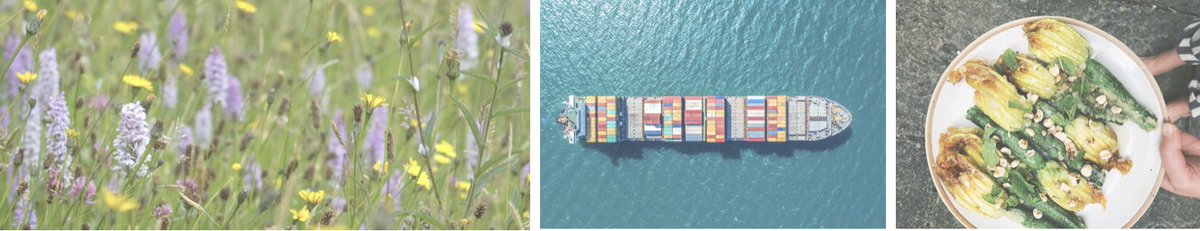 CaroleDalin's tweet photo. 📢 We're #hiring a postdoc to join our FLORA research team @ENS_ULM Paris! 
Develop &amp; analyse high-resolution, environmental &amp; socio-economic data to measure progress for #sustainable agriculture
2-3y @ERC_Research funded
➡️Apply at https://t.co/w16fv6T3KC
https://t.co/khaEDtXJhi https://t.co/y833AHr0aA