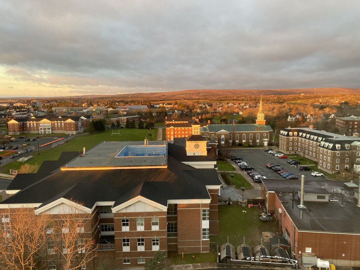 Amanda Cockshutt tweet media