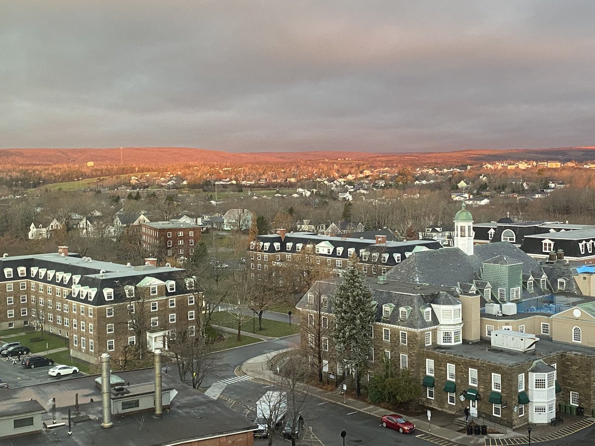 Amanda Cockshutt tweet media