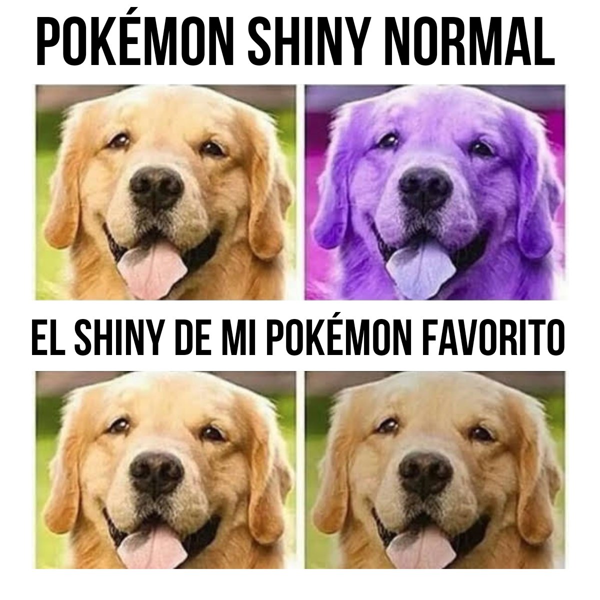 Pokecarlengues's tweet photo. https://t.co/TBkkm9iMtU
