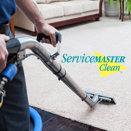 Upholstery Cleaning from the Experts at ServiceMaster Clean