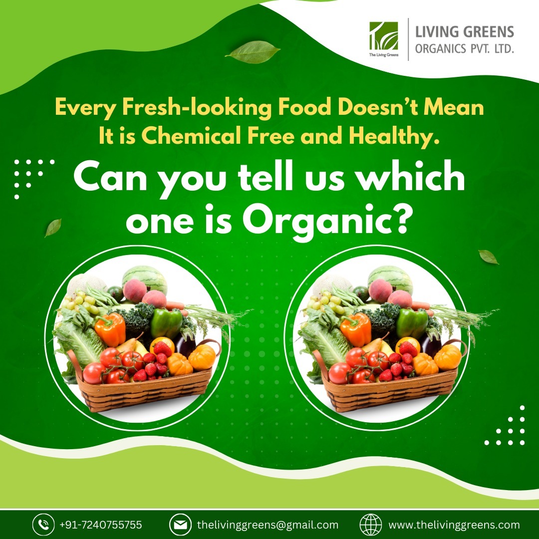 living_greens's tweet photo. Can you tell us which one is Organic?
Tell us in the Comment Section
Visit Our Site- https://t.co/lS6faQBI8t
#thelivinggreens #livinggreensorganics #urbanorganicfarming #organiceaters #schoolfarming #Urbanfarming #Urbanfarmingindia #futurefood #homegrownveggies #Jaipur https://t.co/HODcM2n9zC