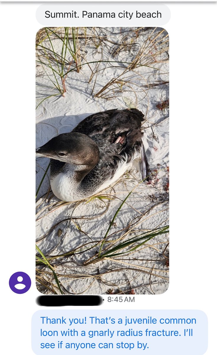 Alaqua Animal Refuge tweet media