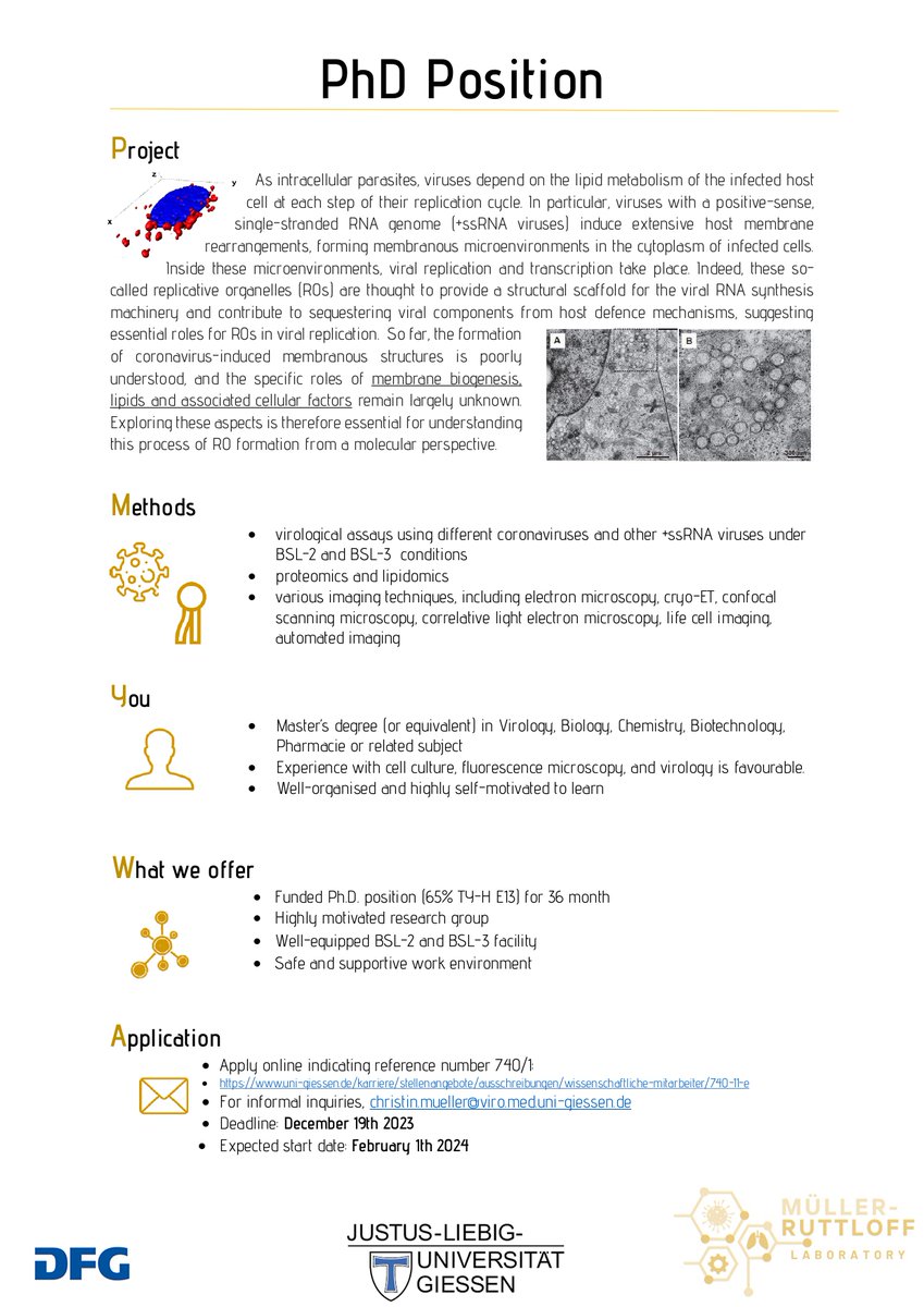 Open position!!! If you're highly enthusiastic and interested in "cellular obesity induced by viruses" 🔬 ⚗ ... check this out: