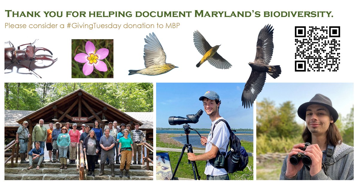 MarylandBiodiversity tweet media
