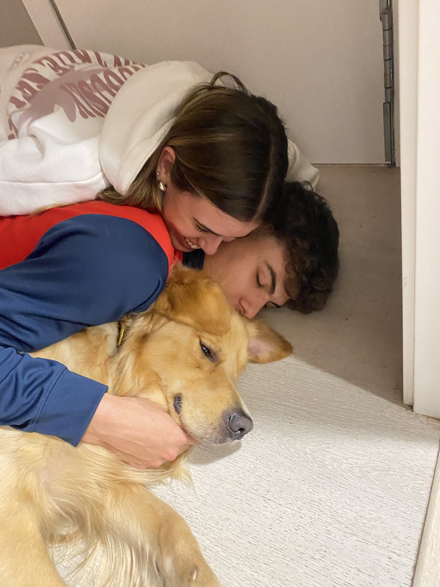 marionapetitona tweet media