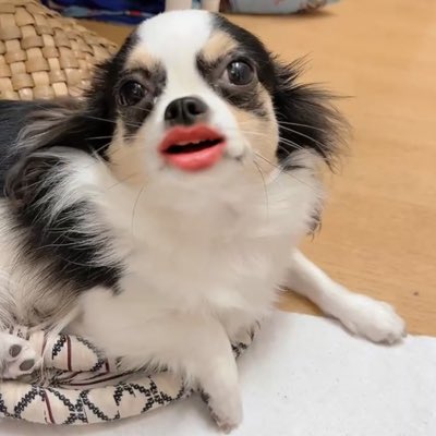 tacoco1129's tweet photo. #新しいプロフィール画像 https://t.co/rcfg7uM2P2