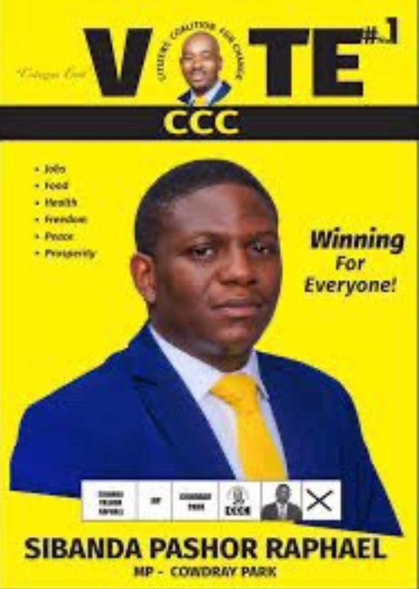 Hon. Darlington Chigumbu🇿🇼 tweet media