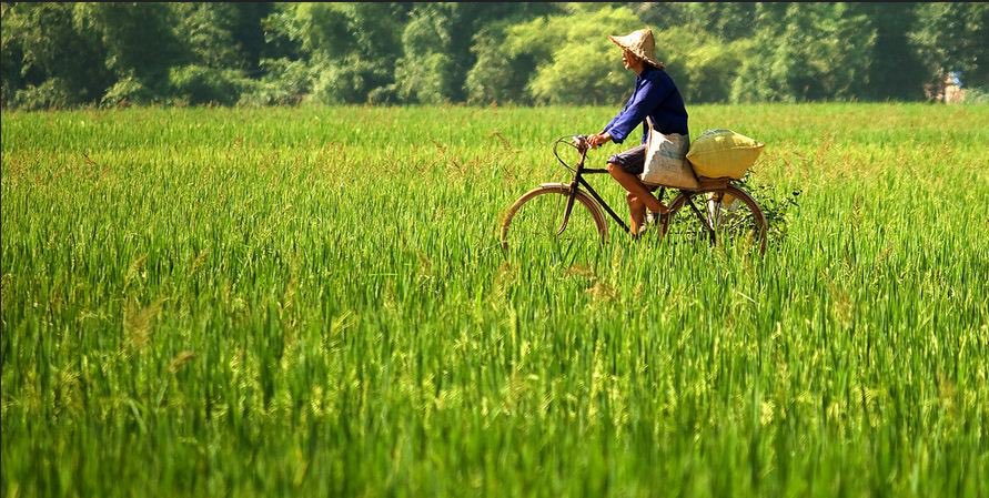 imkay_tik's tweet photo. Ta đã xa bao nhiêu ngày chưa đủ, bao ngày dài vần vũ nhớ quê hương. Nơi quê nghèo bao nỗi nhớ niềm thương, của bao người luôn chờ mong ta đó. #chill https://t.co/xUufE7qq4b