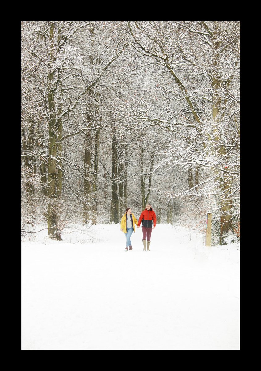 sasha blythe tweet media