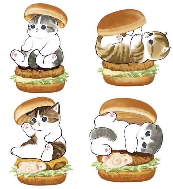 no humans food cat white background simple background bread animal focus  illustration images