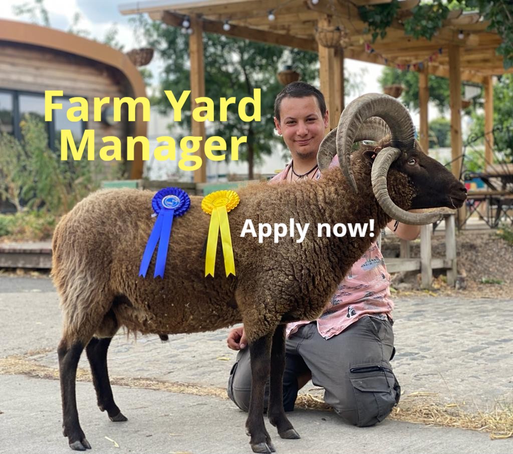 Just under two weeks left to apply to be our new Farm Yard Manager at Stepney City Farm... stepneycityfarm.org/about-the-farm…