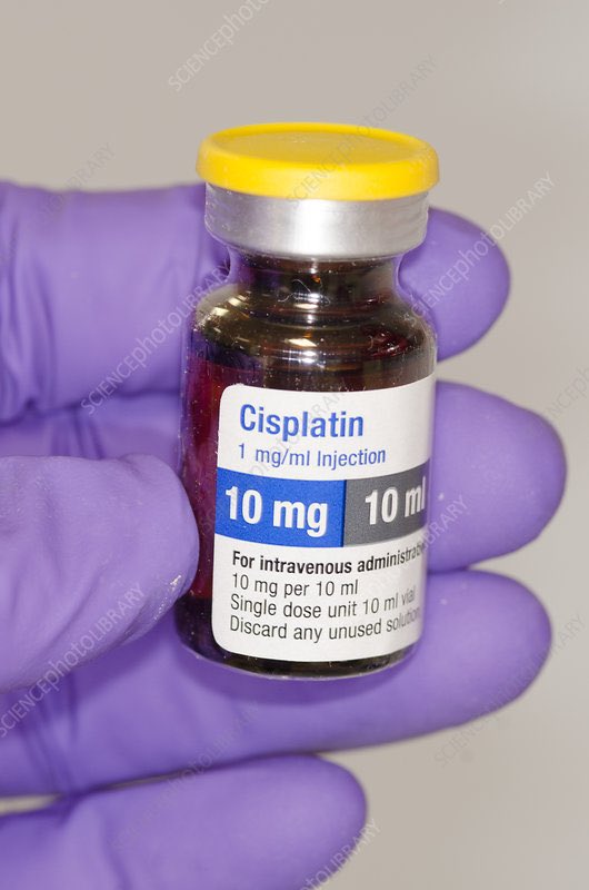 MALSWAR's tweet photo. #معلومة
من يركز في بروتوكولات السرطان الخاصه بدواء #Cisplatin يجد ان يعطى معه دواء #Mannitol هل سألت نفسك عن السبب في ذلك
Cisplatin هو أحد العقاقير الكيميائية المعدنية التي تستخدم لعلاج مجموعة واسعة من سرطانات الأورام الصلبة مثل سرطان الخصية والمبيض والمثانة والرئة والرحم والرأس والعنق، سرطان المعدة، بالإضافة إلى بعض أنواع السرطانات الأخرى
ولكن استخدامه يجب ان يكون تحت المراقبه بسبب قدرته على التسبب nephrotoxicity، ولمواجهة هذا، يتم إعطاء Mannitol، وهو مدر للبول اسموزي، جنبا إلى جنب مع Cisplatin.
يعمل Mannitol على منع تلف الكلى عن طريق زيادة إنتاج البول. يساعد هذا الإجراء على تدفق Cisplatin بسرعة أكبر عبر الكلى، مما يقلل من وقت بقاء الدواء في الأنابيب الكلوية ويقلل من آثاره السامة على خلايا الكلى. في حين أنه كان يعتقد أن Mannitol قد يقلل من نصف عمر Cisplatin في الكلى، فإنه في الواقع يقلل من وقت اتصال الدواء مع خلايا الكلى بدلا من ذلك، حيث أن Mannitol لا يغير عملية التمثيل الغذائي Cisplatin بشكل عام أو التخلص منه من الجسم.