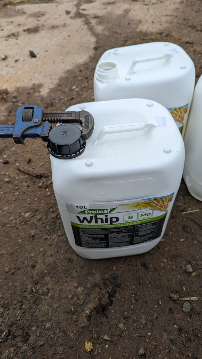 Ally Hunter Blair tweet media