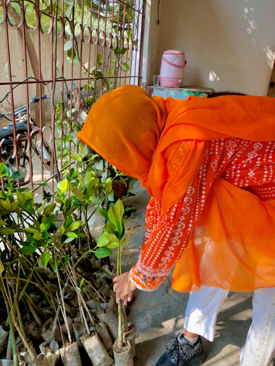 PffYouth's tweet photo. Muqaddas, leading a dedicated youth team from Ibrahim Hydery and Rehri Goth, has undertaken the challenging task of gathering mangrove plants from various nurseries. Following a 2 week effort, they successfully acquired 270 plants from 2 different sources. https://t.co/4ejWgVdnNY