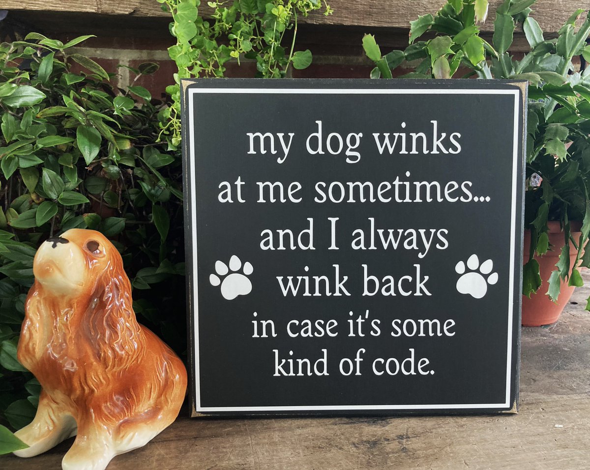 CountryWorkshp's tweet image. #DogSign My Dog Winks at Me  #DogLife #DogMom Family  Funny  #LoveMyDog #smilett23 #SecretCode #Smile #wink etsy.me/47sITgO via @Etsy