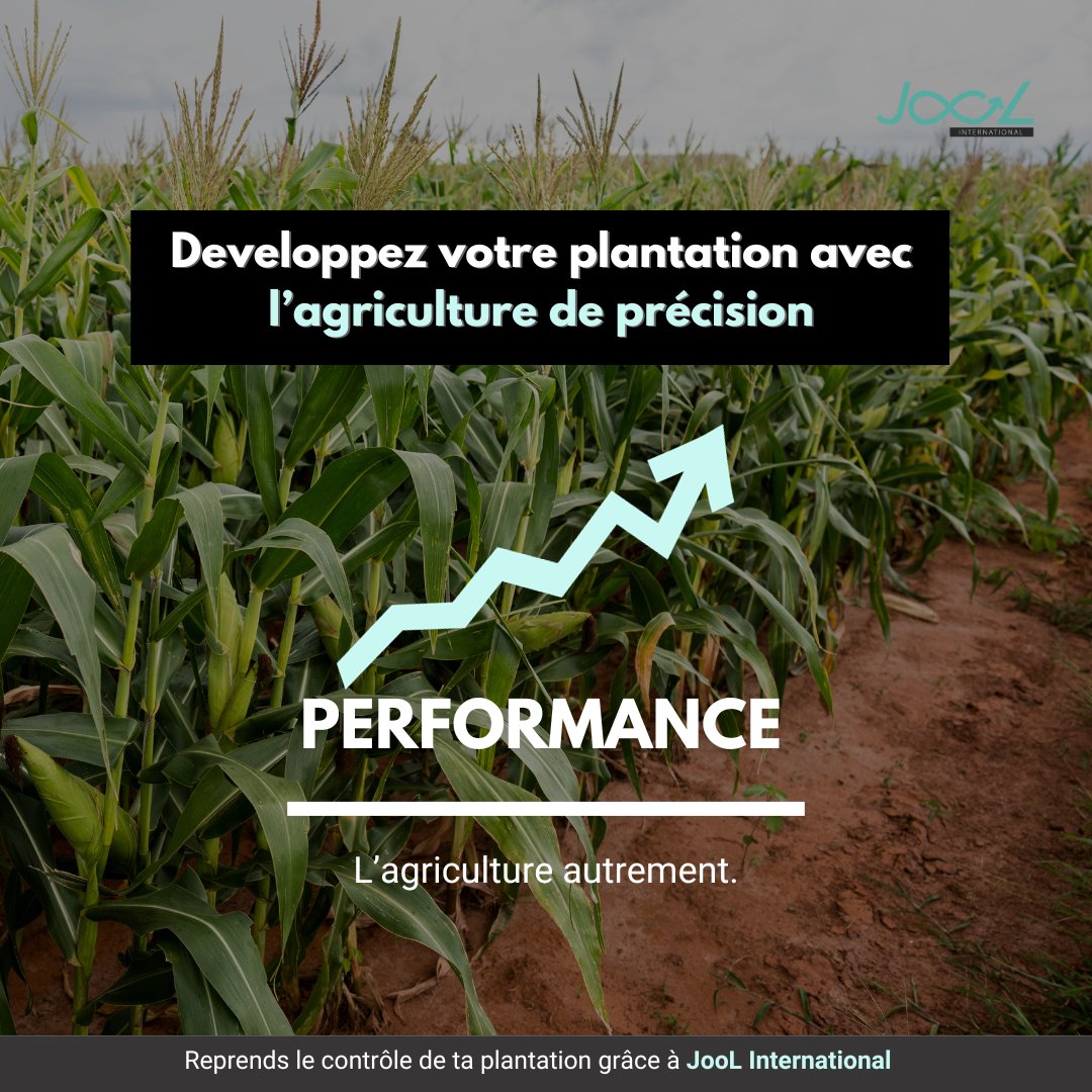 ⛔ Arrêtez de chercher plus loin ...
💡 Votre solution c'est : L'AGRICULTURE DE PRÉCISION !

📲+225 27 22 557 825
📩info@jool-international
#AgriTech #Innovation #Agriculture #Tech #Performance #Boost #Drone #Dji #CotedIvoire