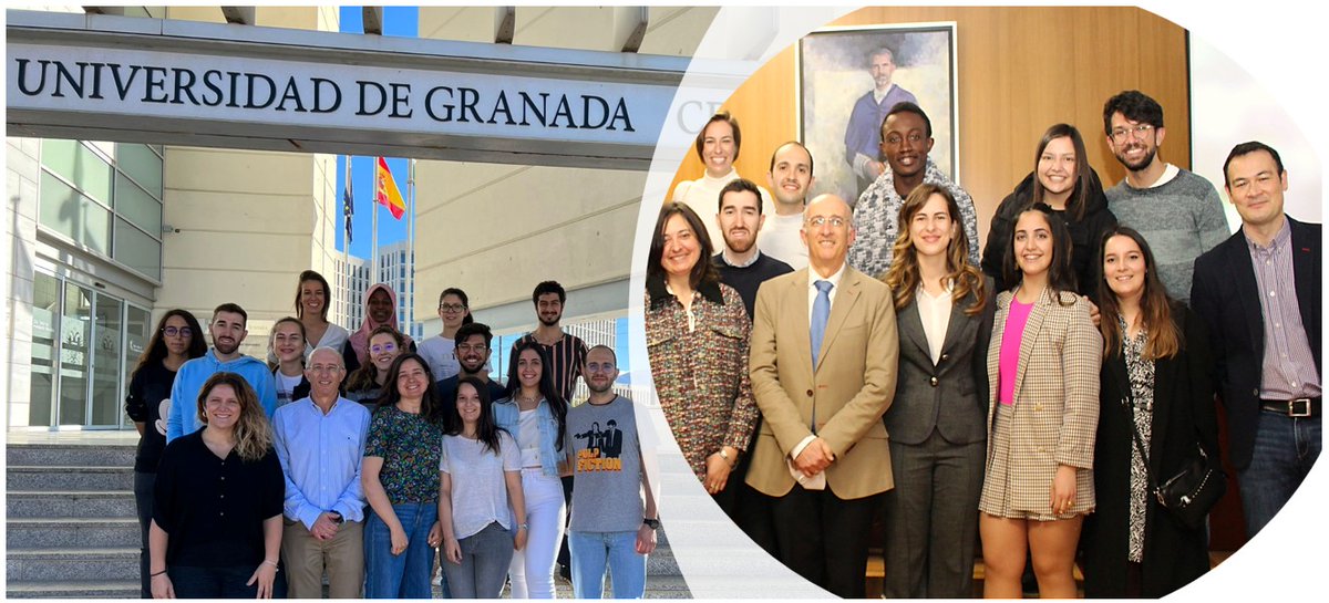 ➡️Investigadores del ibs.GRANADA descubren nuevos avances en el tratamiento de la enfermedad inflamatoria intestinal y el cáncer colorrectal

👉Más información:  ibsgranada.es/investigadores…

@canalugr <a href="/hospital_hvn/">HUVN</a> <a href="/clinicogranada/">Hospital Universitario Clínico San Cecilio</a> @easpsalud