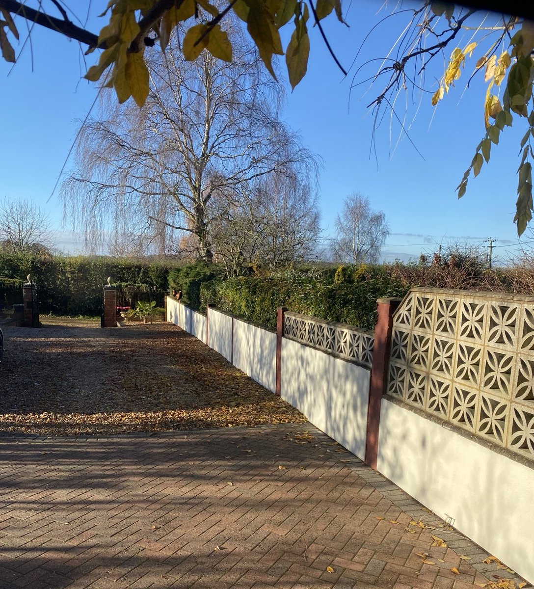 Spot the pheasants (3 points)