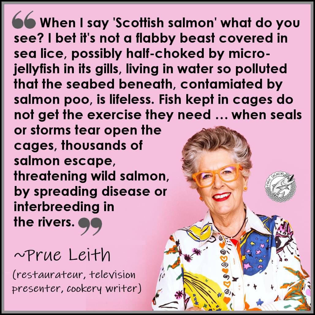 What image springs to mind when you hear the words: Scottish Salmon