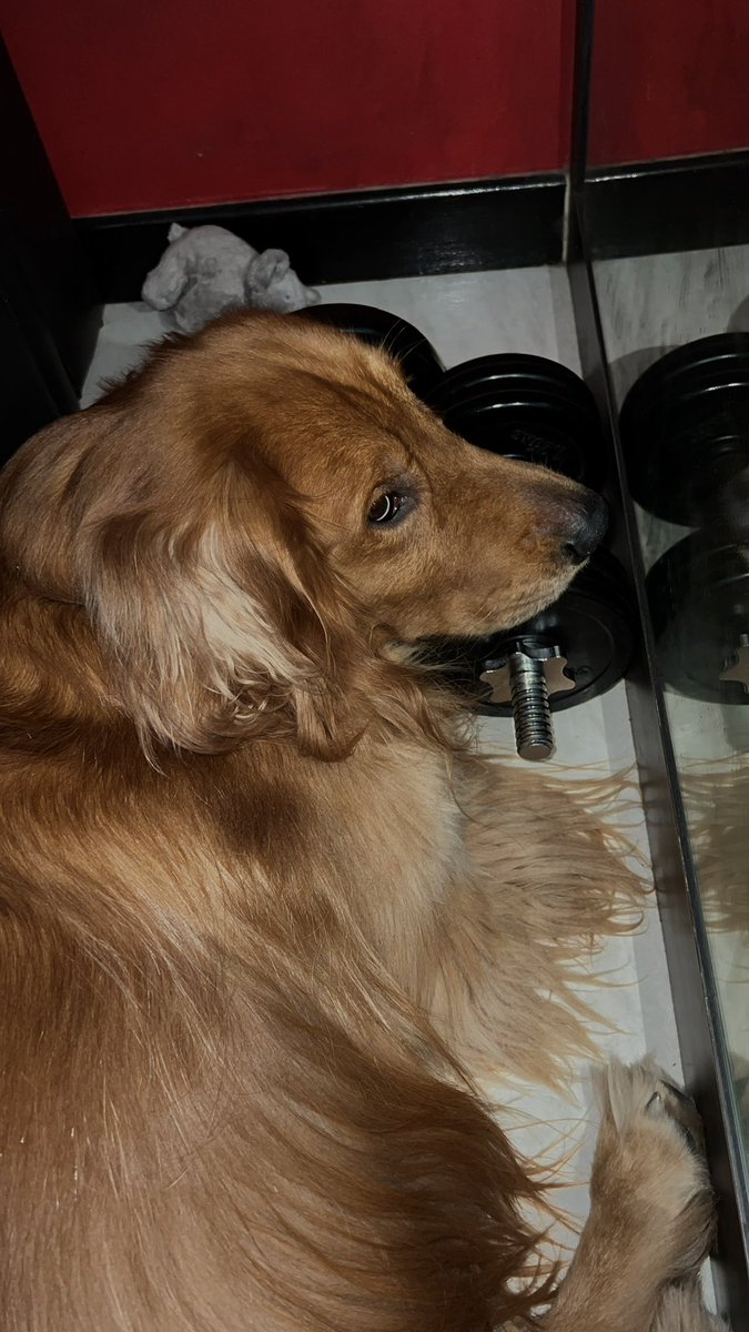 S (@flackesh) on Twitter photo 