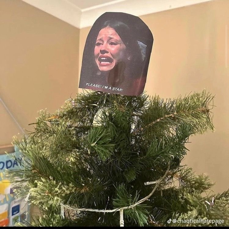 REGINAVGEORGE's tweet photo. christmas tree is done https://t.co/2OgjBsQgwm