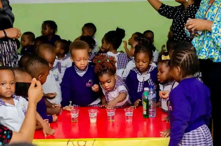 Brainy Hive Schools tweet media