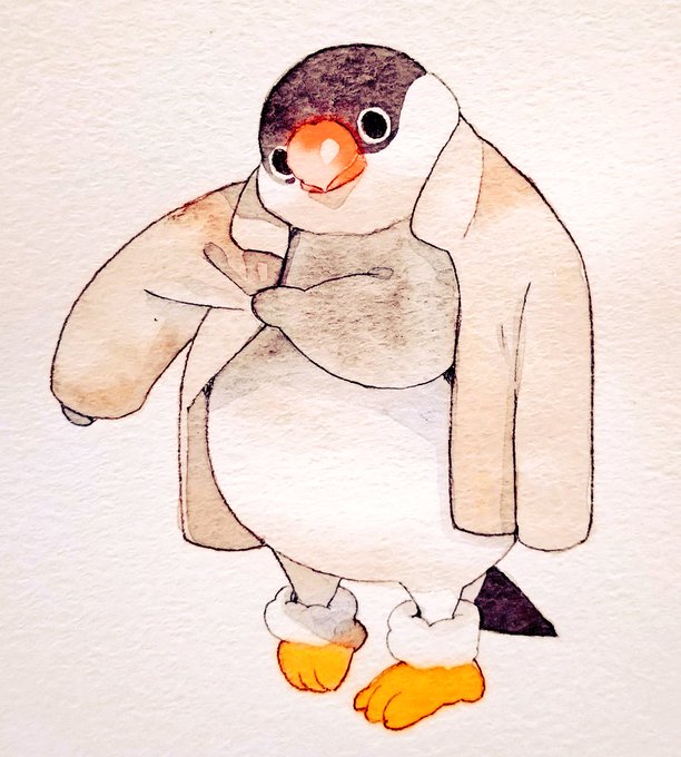 「jacket penguin」 illustration images(Latest)