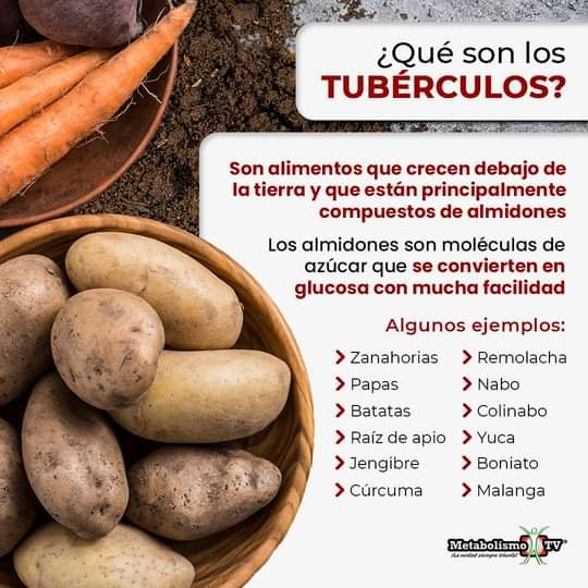 grupo_fauna's tweet photo. Sobre los tubérculos te recordamos sus tipos.
@grupo_fauna
#GeffProduccion
#MINAGCuba https://t.co/eoaLSS485z
