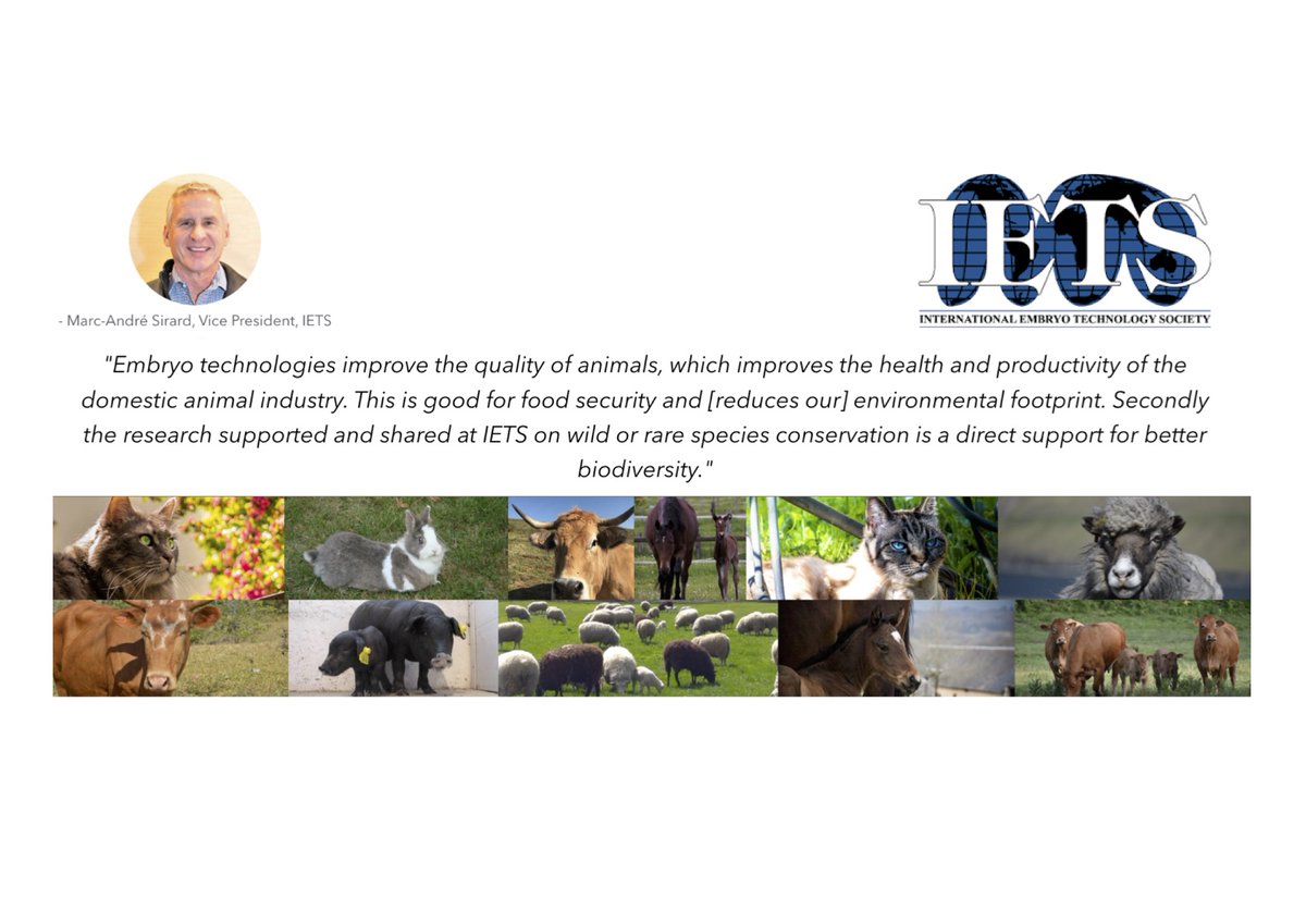 IETS_org's tweet photo. IETS embraces several topics related to embryo technologies and different species, including wild and rare animals.
#IETS #REPRO #EMBRYOTECHNOLOGY #SCIENCE https://t.co/XDHyN8phCX