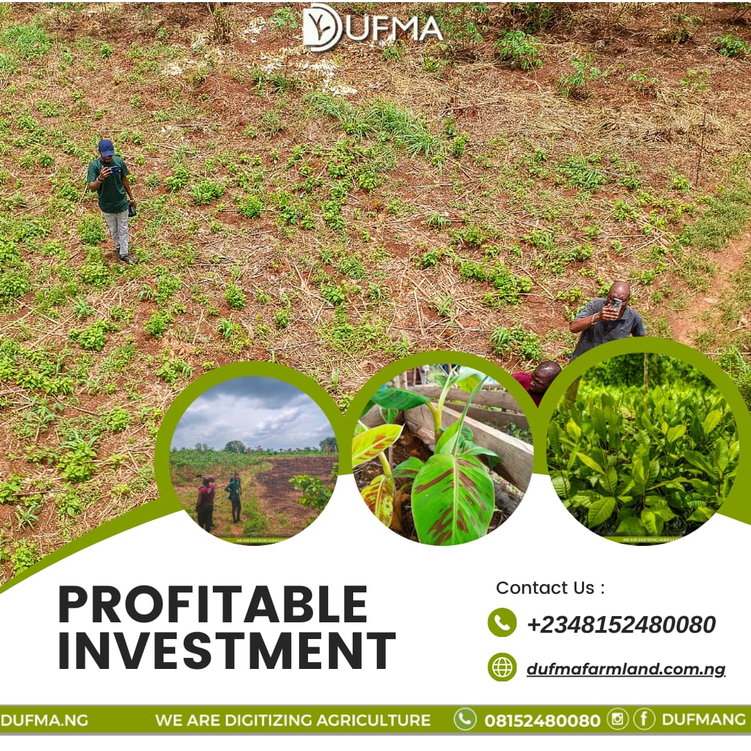 Digicropng's tweet photo. Harvesting returns, sowing success. Invest in farmland for a fruitful future. 🌾💼 #AgriInvestment #ProfitableHarvests https://t.co/VHNIbJsE7g