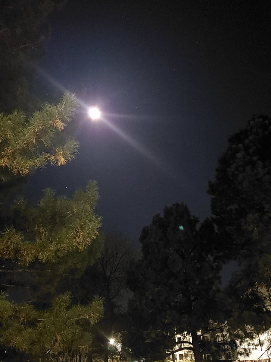 xmilehighx's tweet image. Moon is pulling..

#saturnmoon #moonmatrix #reincarnation