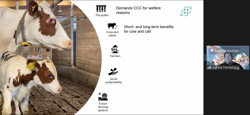 Sabine Ferneborg at #IDFMilkingTechnologies2023
provided insights on the current knowledge on milking in cow-calf contact systems, as well as outline the future needs for knowledge and technological development to facilitate these systems. <a href="/FIL_IDF/">International Dairy Federation</a>