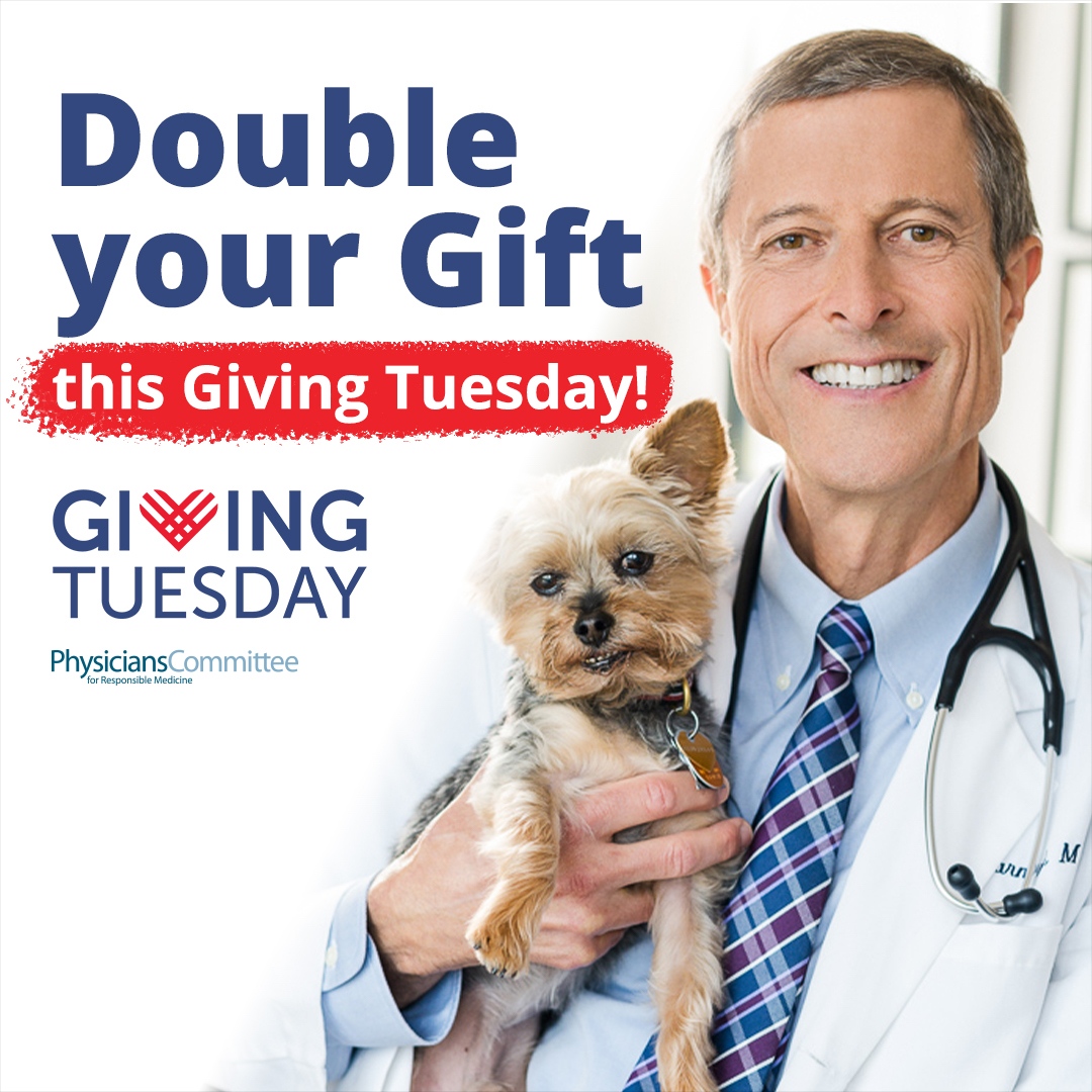 PCRM's tweet photo. This Giving Tuesday, your donation will be DOUBLED to help PCRM reach more people with lifesaving nutrition, save more animals from unthinkable experiments, and help heal our planet, too. Don’t wait – this offer ends at midnight. Thank you! https://t.co/XmWi93cN3E https://t.co/t1kVZaIhiI