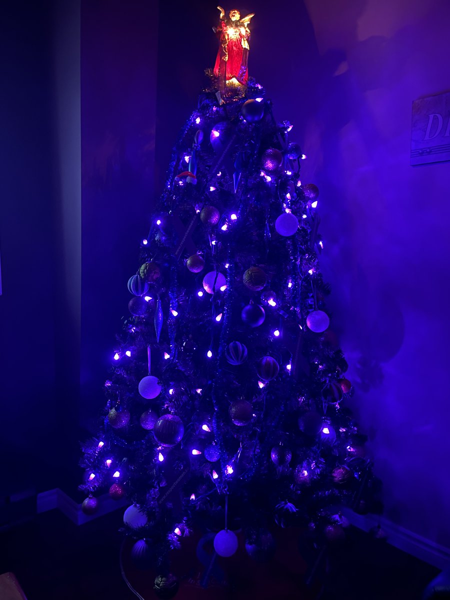 Status of Women Central NL tweet media