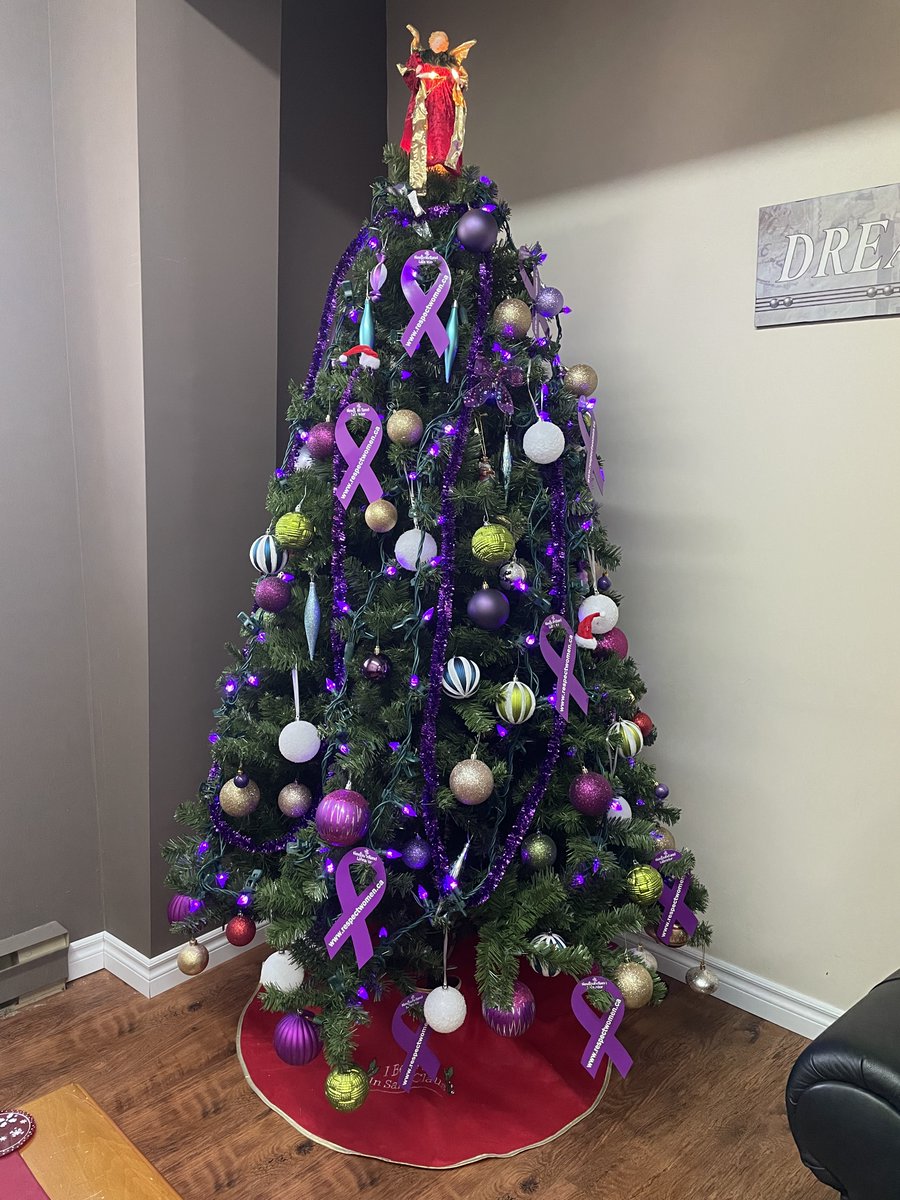 Our tree lit up and decorated with purple ribbons in recognition of #16DaysOfActivism2023. Day 4.  Thank you Linda and Rosi.