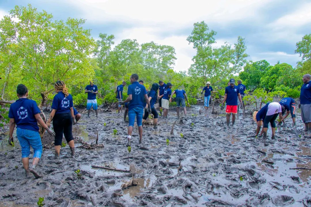 SoahubTz's tweet photo. 🌊 Exciting News from SOA Tanzania! 🌊

Thrilled to share that the 3rd cohort of our Ocean Bootcamp has successfully concluded! 🚀 This time, 30 exceptional youth from Tanzania underwent intensive training to become ocean leaders. https://t.co/qjZxOJV20I
