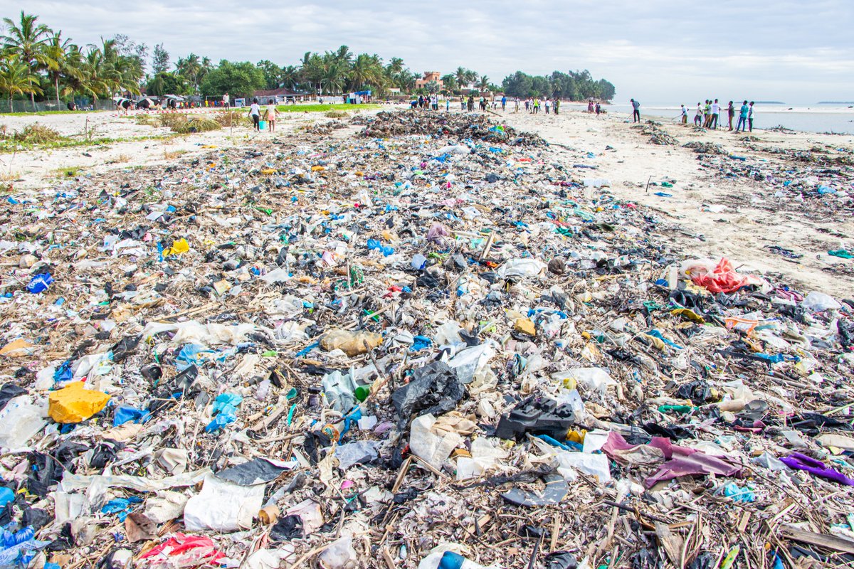 Fredy Njeje tweet media