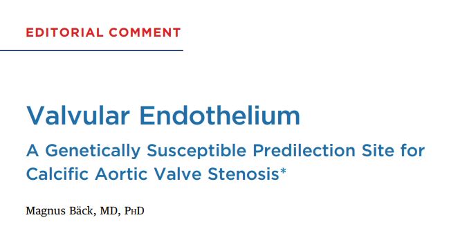 Translational Cardiology (@transcardio) on Twitter photo Editorial in <a href="/JACCJournals/">JACC Journals</a> by <a href="/ProfMagnusBack/">Magnus Bäck</a> <a href="/karolinskainst/">Karolinska Institutet</a> <a href="/INSERM_U1116/">DCAC Lab</a> for new study on PALMD in #AorticStenosis. sciencedirect.com/science/articl… Editorial in <a href="/JACCJournals/">JACC Journals</a> by <a href="/ProfMagnusBack/">Magnus Bäck</a> <a href="/karolinskainst/">Karolinska Institutet</a> <a href="/INSERM_U1116/">DCAC Lab</a> for new study on PALMD in #AorticStenosis. sciencedirect.com/science/articl…