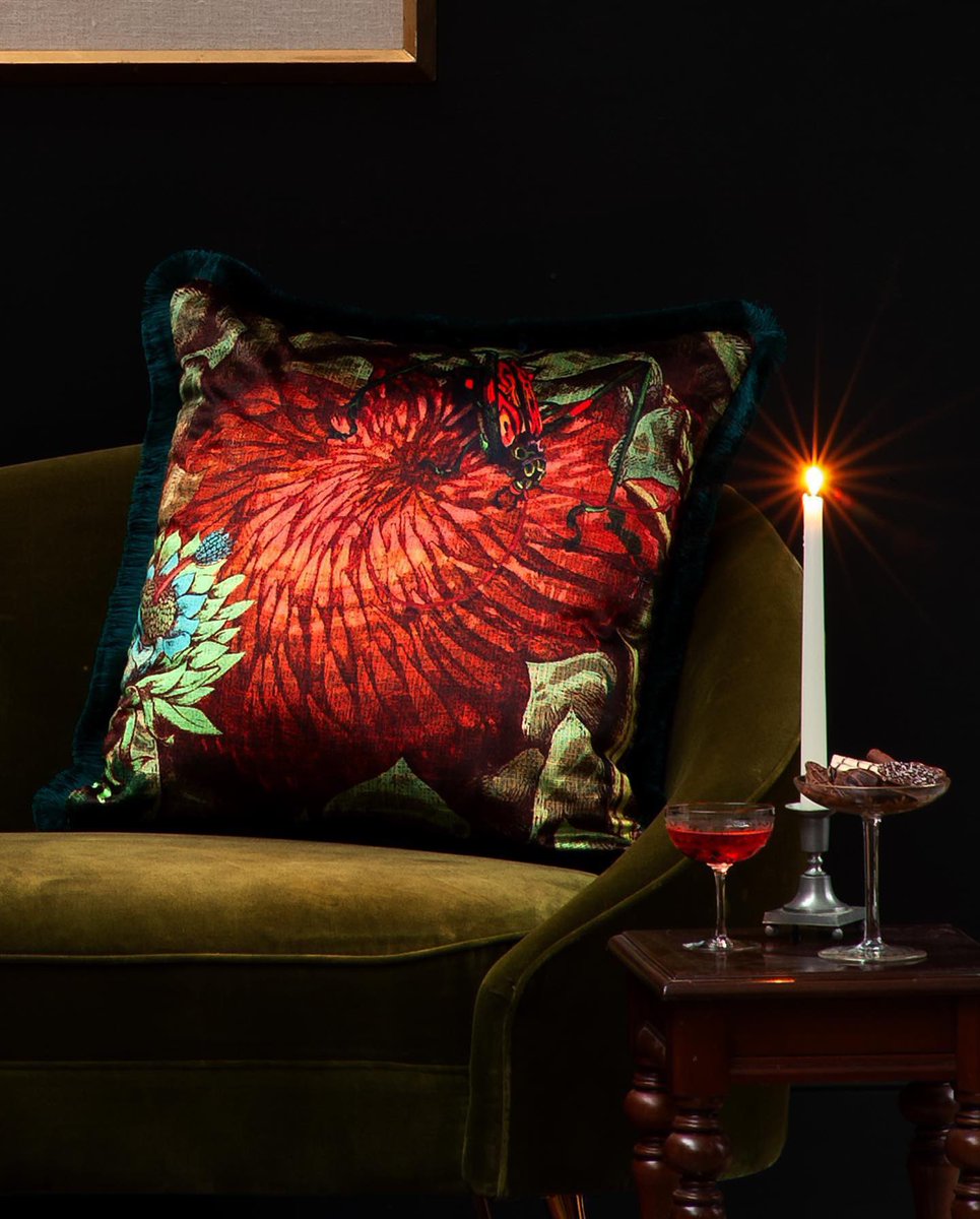 Banksia Bloom Velvet Fringed Cushion from our latest limited edition cushion offerings, features the iconic Banksia flower, named after the 18th century respected botanist, explorer and naturalist Sir Joseph Banks. timorousbeasties.com/shop/view-prod…