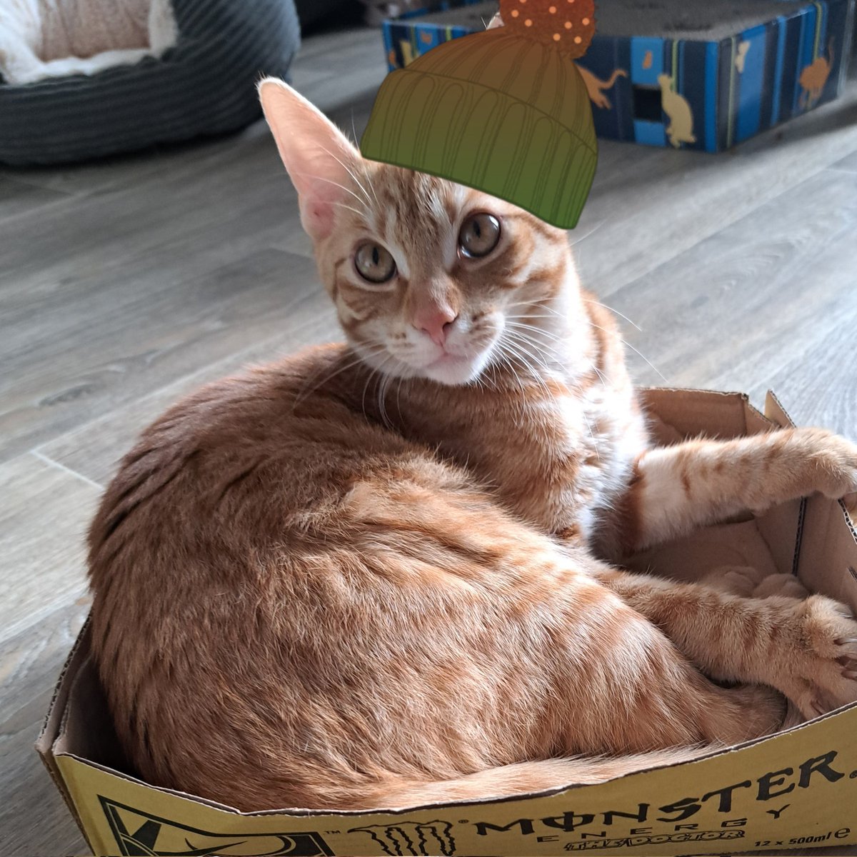 #NeuesProfilfoto für die Winterzeit ♡